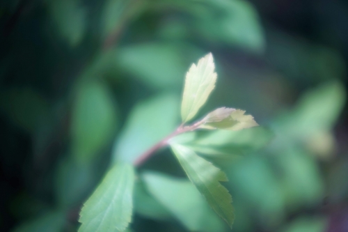 DSC02560